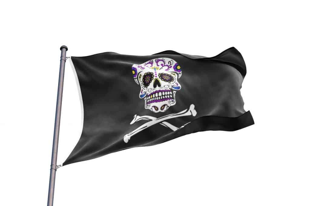 Playmobil Special - Pirate Avec Drapeau Tête De Mort Numéro 4690 - Occasion